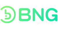 BNG-COLOR Payment Partner